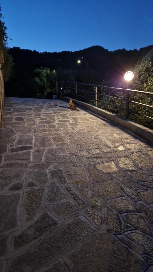 Villa Degli Ulivi Tivegna Eksteriør bilde
