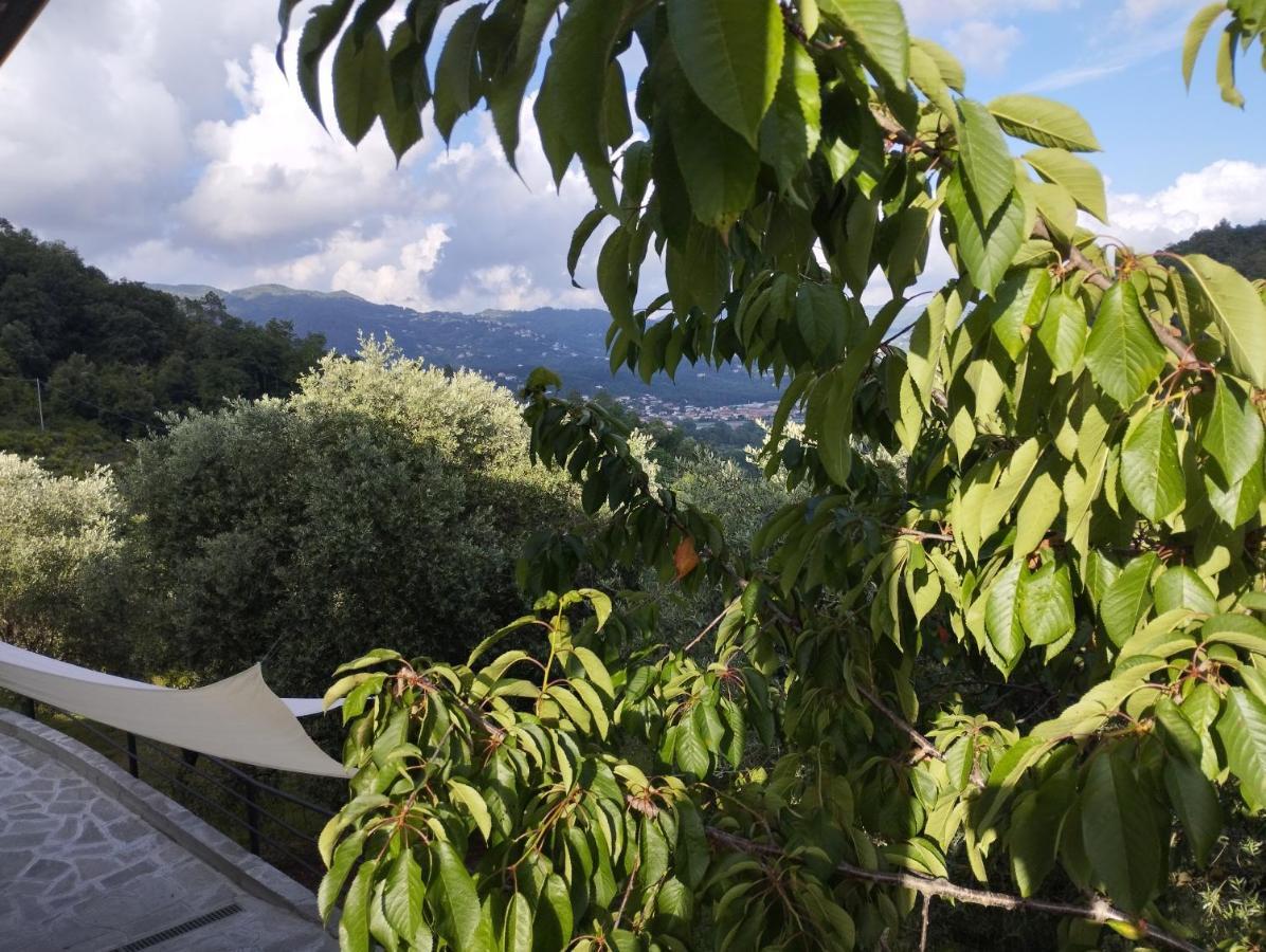 Villa Degli Ulivi Tivegna Eksteriør bilde
