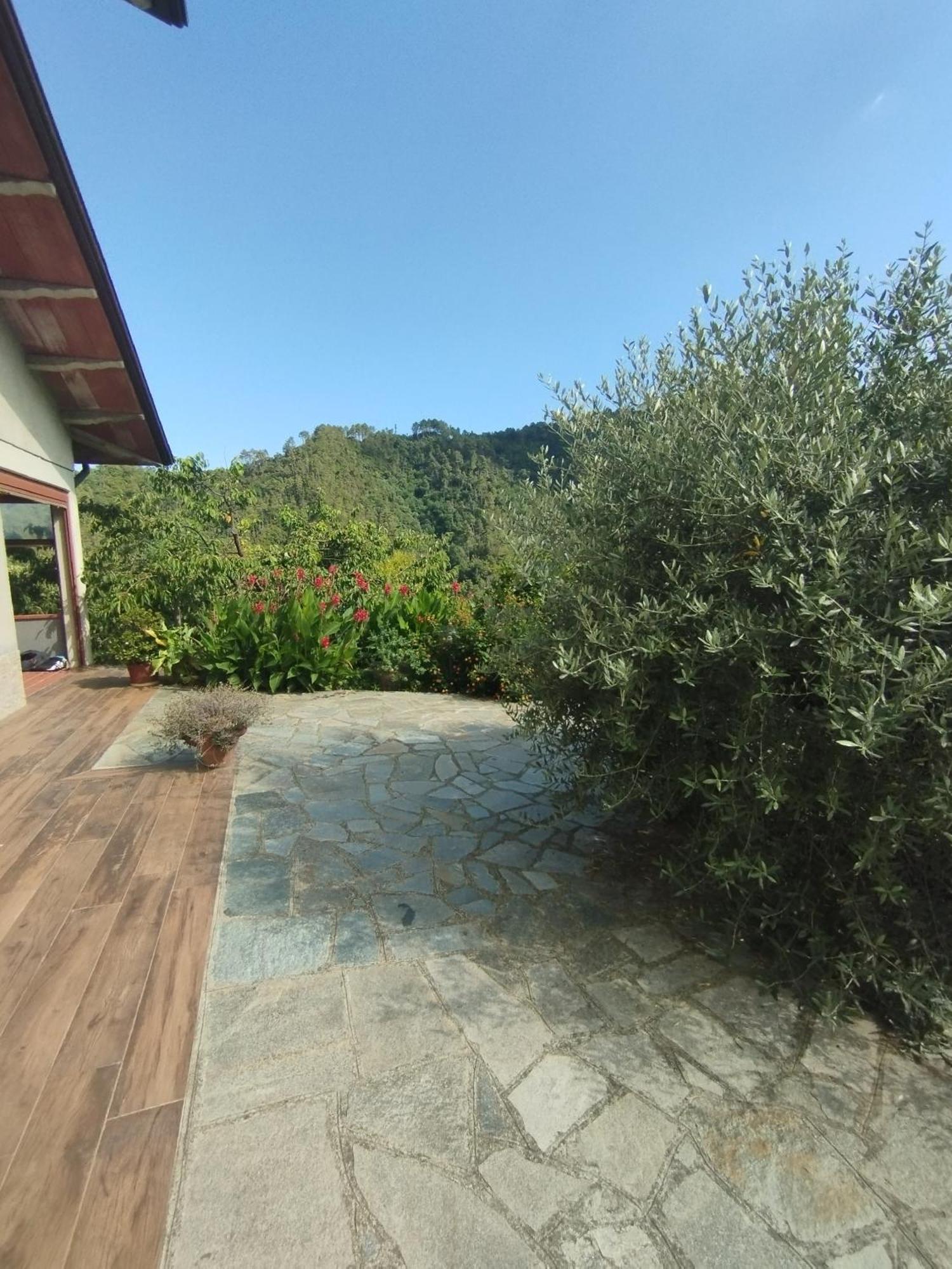 Villa Degli Ulivi Tivegna Eksteriør bilde