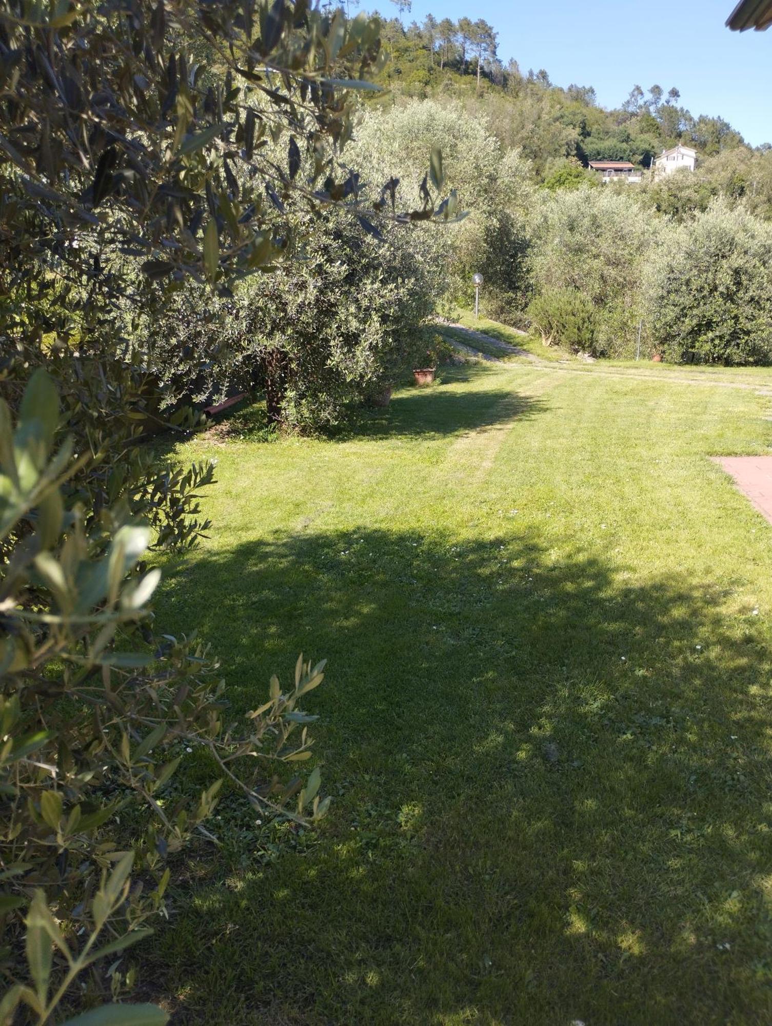 Villa Degli Ulivi Tivegna Eksteriør bilde