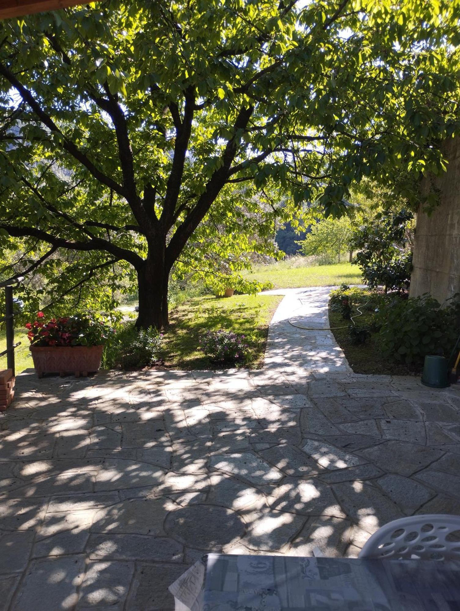 Villa Degli Ulivi Tivegna Eksteriør bilde