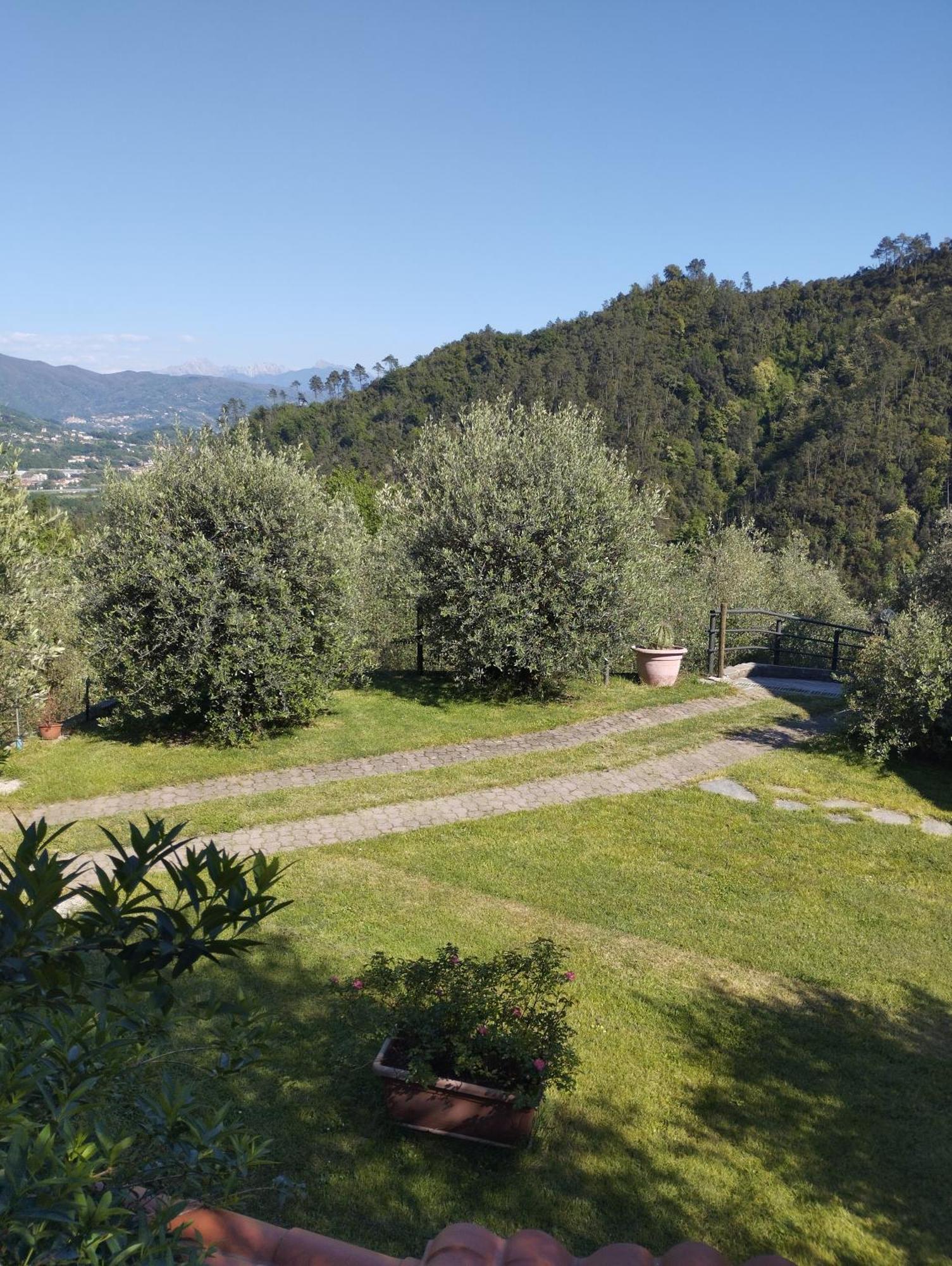 Villa Degli Ulivi Tivegna Eksteriør bilde