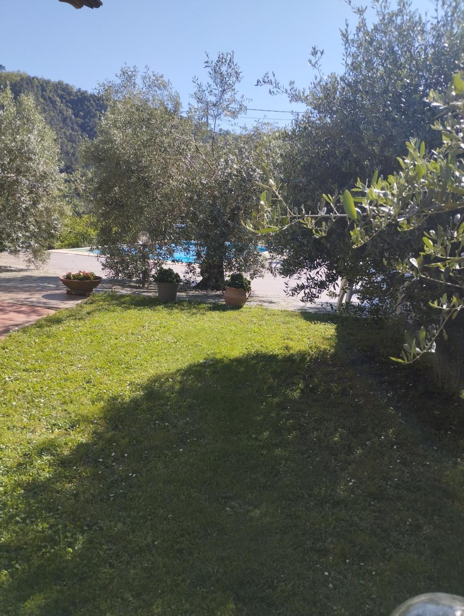 Villa Degli Ulivi Tivegna Eksteriør bilde